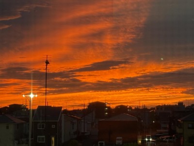 IMG_4008.jpeg